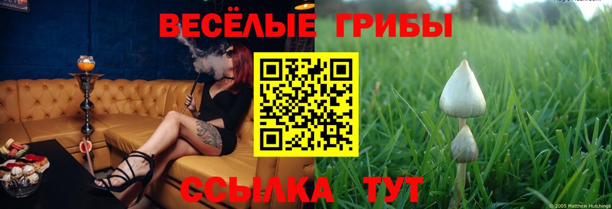 Ишим  Псилоцибиновые грибы Magic Shrooms  Вход с VPN  Галлюциногенные грибы мухоморы 